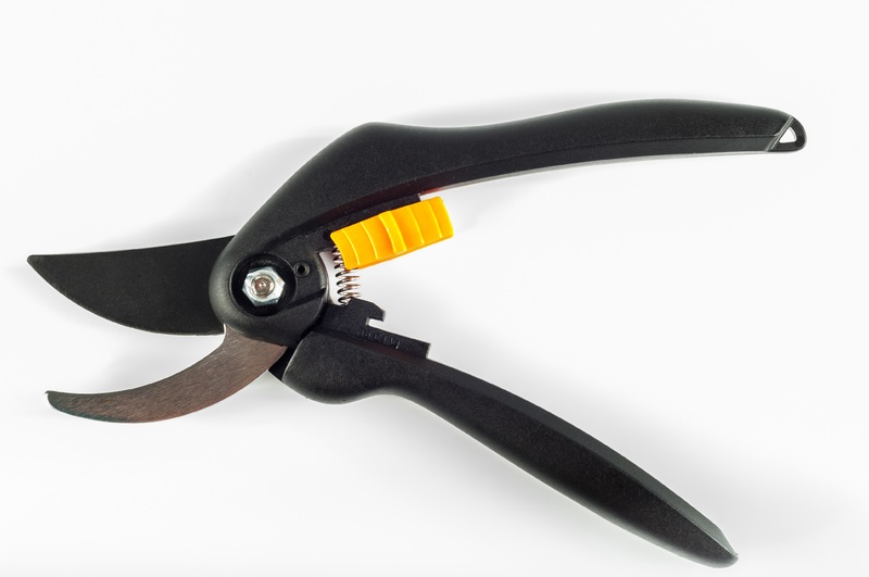 work-hand-branch-sharp-plastic-isolated-790946-pxhere.com